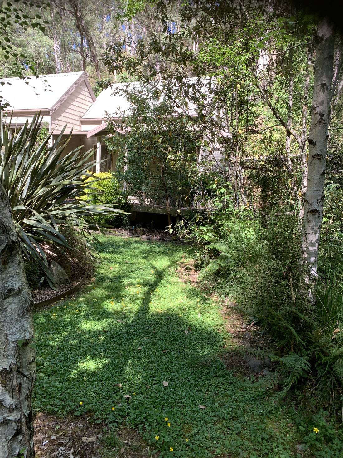 Shadybrook Cottages