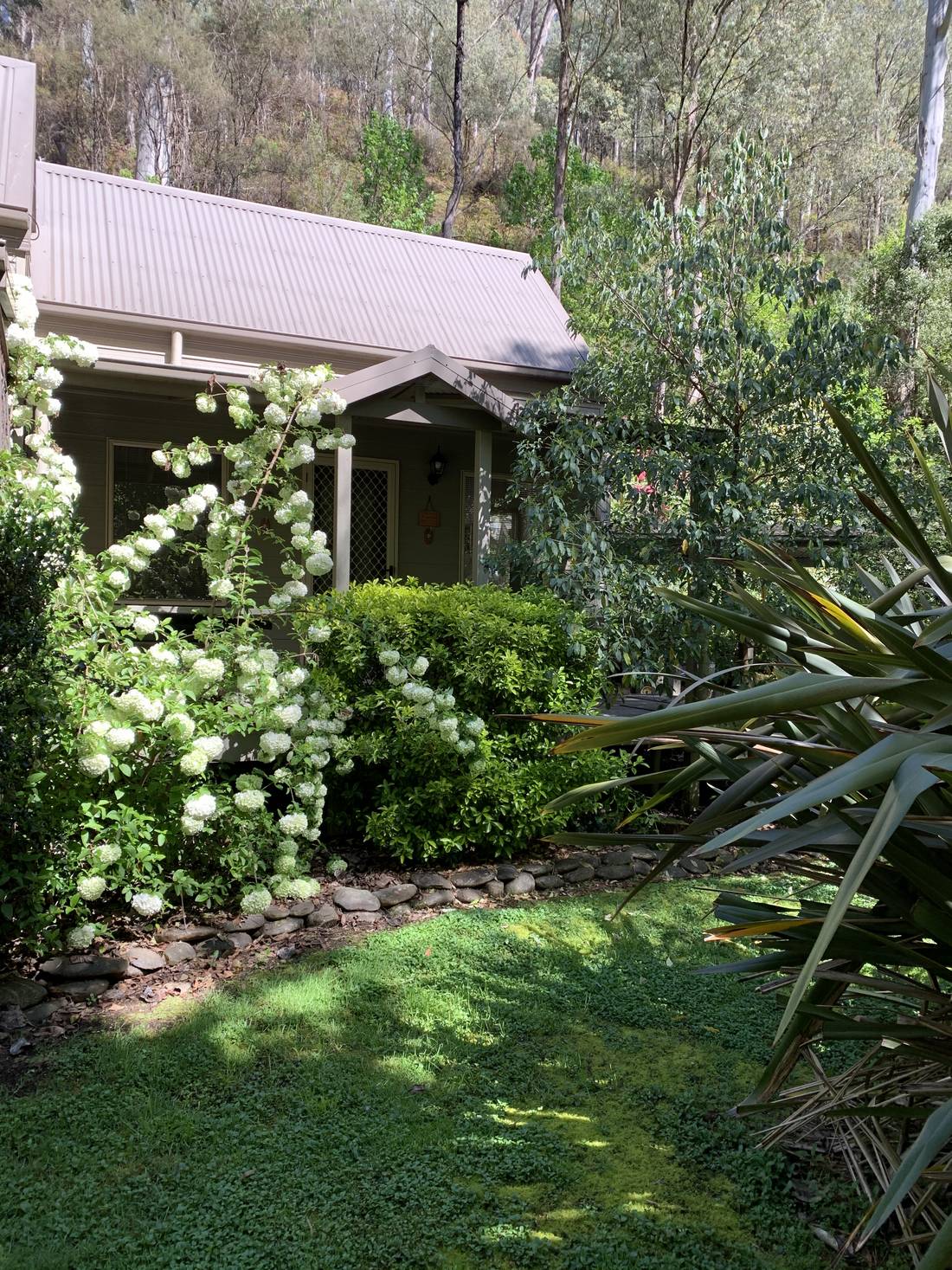 Harrietville Accommodation 1 bedroom Cottages