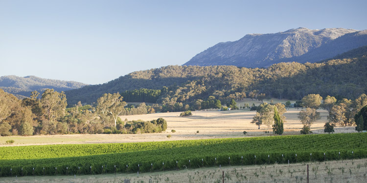 Alpine Shire