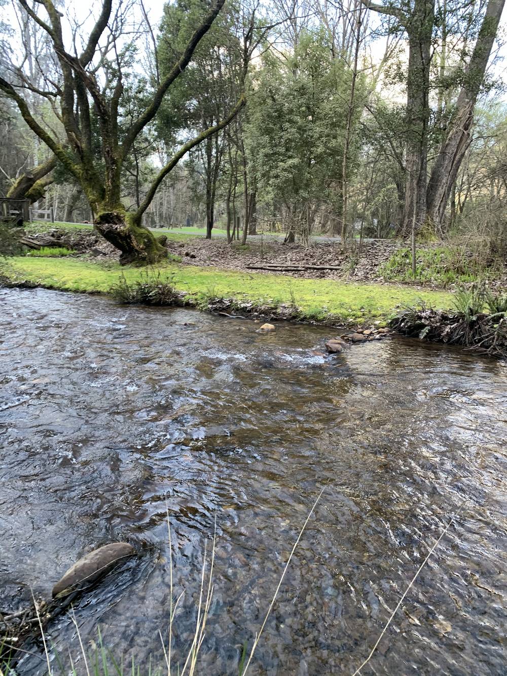 Ovens River Harriteville Ovens River Harriteville
