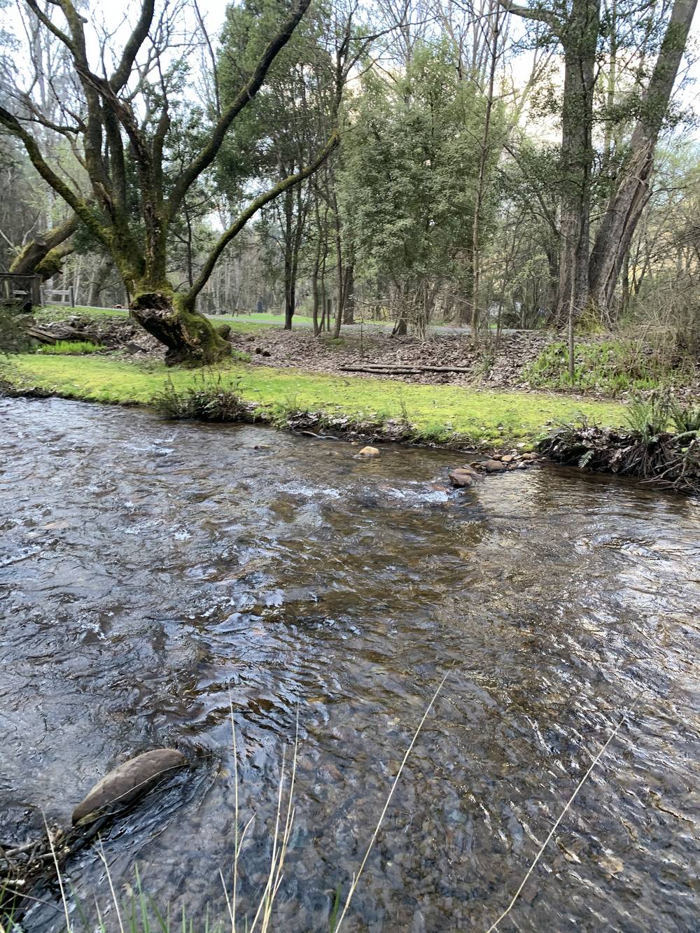 Ovens River Harriteville