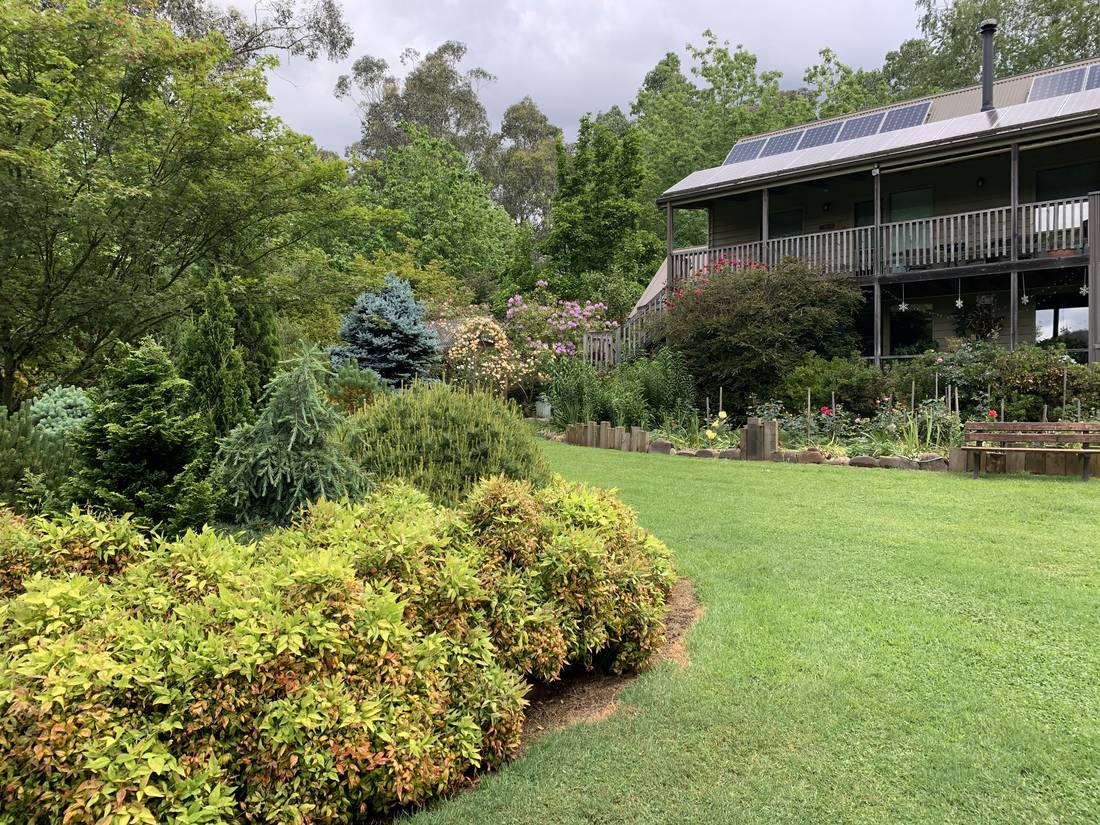 Harrietville bed and breakfast